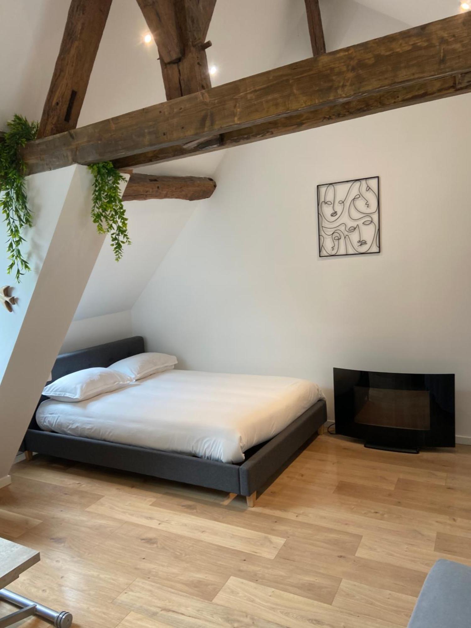 La Champenoise La Tannerie Appartement Troyes Buitenkant foto